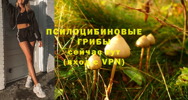 COCAINE Богородск