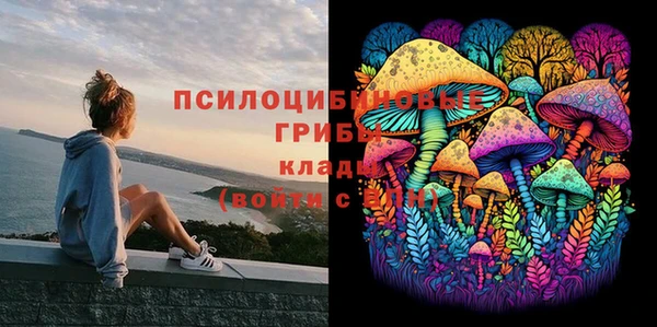 амфетамин Богородицк