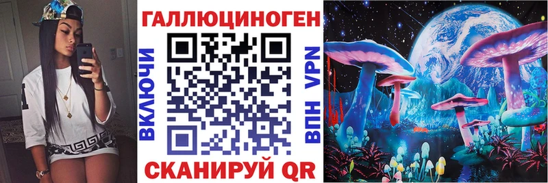 Галлюциногенные грибы MAGIC MUSHROOMS  закладка  Гусев 